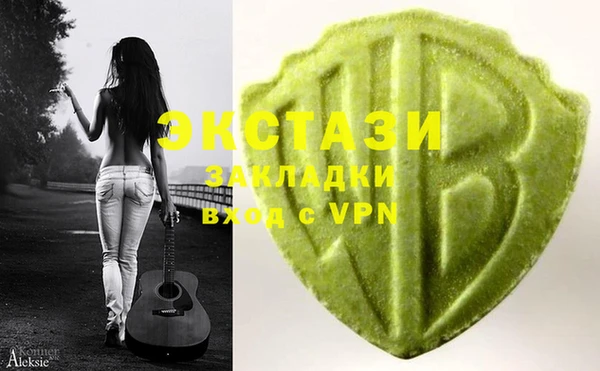 шишки Новодвинск