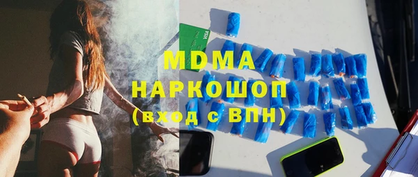 прущие грибы Новозыбков